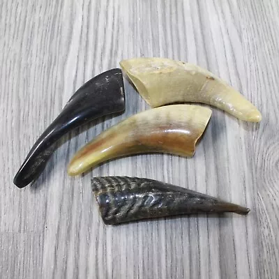 4 Small Polished Goat Horns #6344 Natural Colored • $24.99