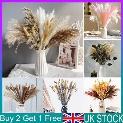 25-84Pcs Pampas Grass Natural Dried Flowers DIY Feather Grass Bouquet Home Decor • £6.99