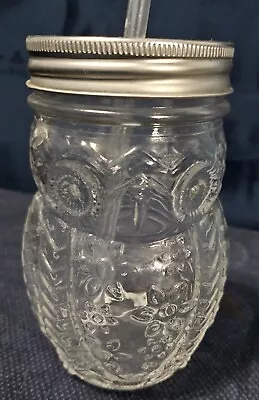 Clear Glass Owl Shaped Mason Jars/ Drinking Glasses W/Lid & Straw • $8