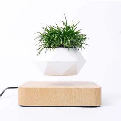 🌟 Levitating Rotation Flowerpot - Magnetic Magic For Zen Spaces 🪴 • $144.99