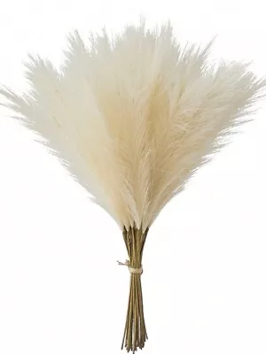 20pcs 52cm Beige Faux Pampas Grass Artificial Reeds Fluffy Artificial • £5.99