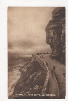 £2.20 • Buy On The Marine Drive Llandudno Elmer Keene Vintage Postcard  204a