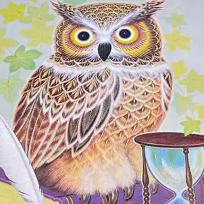 1973 Kitschy Donald Art Co. Owl With Hourglass Lithograph K Chin 9 X 12” FL3 • $27