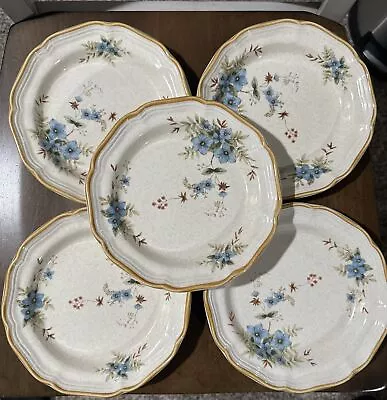 Set Of 5 Mikasa Garden Club Day Dreams 8” Salad Plates • $24