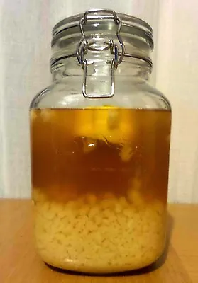 Organic Water Kefir Grains Probiotic To Culture Coconut Water Or Fruit Juice • £6.49