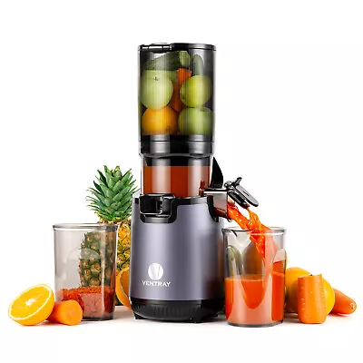 Ventray Slow Masticating Juicer Cold Press Juicer Electric Slow Juicer Machine • $199.99