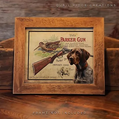 Parker Gun Advertising Art Print 8X10 German Shorthair Hunting Dog Wall Decor • $7.99