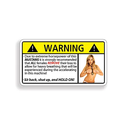 Funny MUSTANG No Bra Horsepower Sex Warning Sticker GT 5.0 Shelby Car Window • $2.95