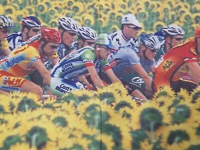 $18.98 • Buy Champ-Sys Women's XXL Half-Zip Cycling Jersey Peloton Sunflower Tour De France