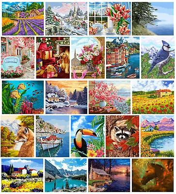 Wizardi 40cm X 50cm Paint By Numbers Kit With Stretched Canvas On Wood Frame • $105.78