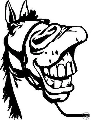 Laughing Horse Head Decal Sticker Ute BNS Truck Car  Float 15hx 12w Cm • $10