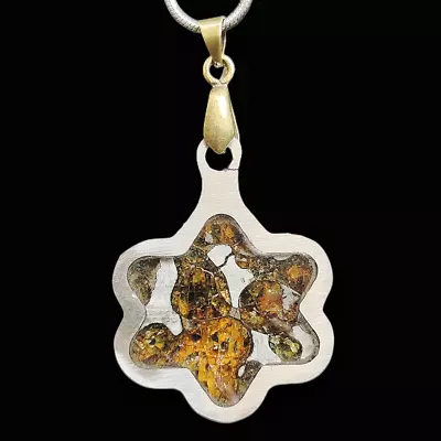 Pallasite Meteorite Pendant Kenya SERICHO Pallasite Olive Meteorite Necklace • $69.52