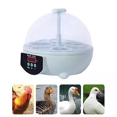 Mini Egg Incubator Egg Turner Tray Hatching 6 Eggs For Duck Chicken Quail • £25.99