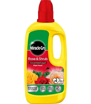 Miracle-Gro® Rose & Shrub Concentrated Plant Food 800ml • £7.15