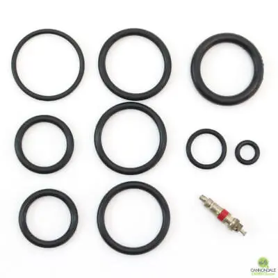 $30 • Buy CannondaleExperts.com Cannondale Lefty 32mm 2.0 Abbreviated 100 Hour Seal Kit