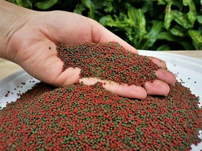 $5.90 • Buy BEST Fish Food Koi Chiclid Goldfish Floating Pond Pellets AQUARIUM FREE SHIPPING