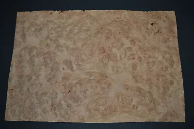 Oak Burl Raw Wood Veneer Sheet 9.5 X 14.5 Inches 1/42nd                7222-35 • $13.99