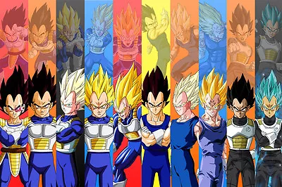 Dragon Ball Poster Vegeta 12in X 18in Free Shipping • $9.95