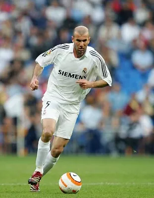 Sports Images Men Soccer Football FIFA UEFA Zinedine Zidane Photo -CL3206 • $15.98