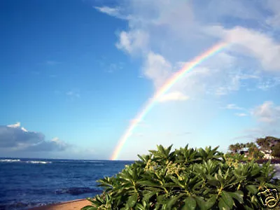 $1000 • Buy Maui - Kahana Falls Resort Vacation Rental* * 2bd/2ba Special Rate - $1000.00 *