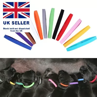 12 Colours ID Collars Whelping Newborn Puppy And Kitten ID Bands Adjustable UK • £3.99