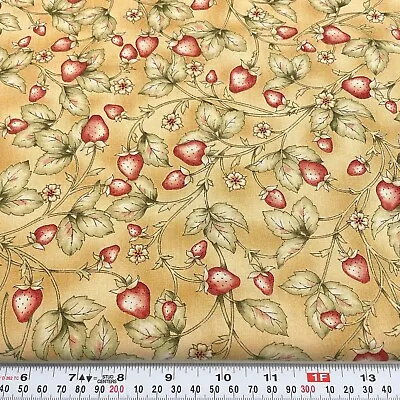 Strawberry Splendor Kris Lammers Maywood Studios Cotton Fabric By The Half Yard • $6