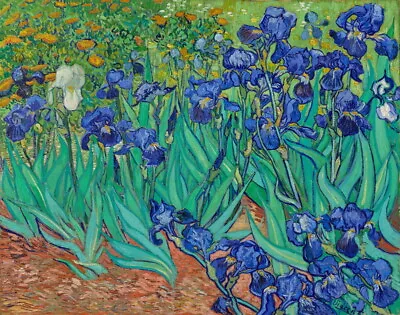$20.99 • Buy Irises By Vincent Van Gogh Oil Painting Giclee Printed On Canvas P1794