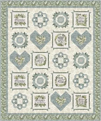 Moda HAPPINESS BLOOMS Boxed Quilt Kit Fabric & Pattern 58  X 70  By Deb Strain • $89