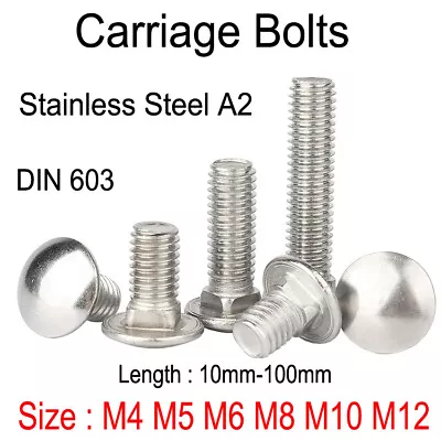 Carriage Bolts / Cup Square Dome Carriag Screws Stainless Steel A2 DIN603 M4-M12 • £1.44