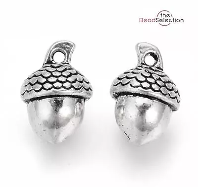 10 Acorn Charms Pendants Tibetan Silver 14mm 3D Jewellery Making C297 • £2.99