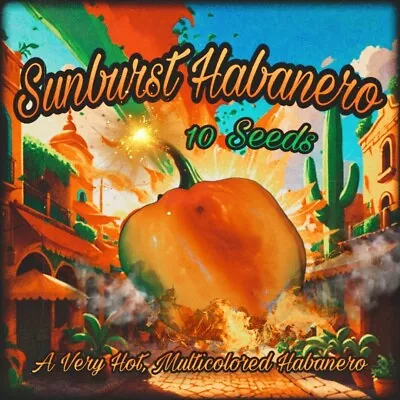 Sunburst Habanero Pepper ( 10 Seeds ) 🔥🔥🔥 • $2.65