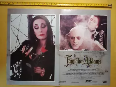 1991 THE ADDAMS FAMILY Morticia Barry Sonnenfeld Italian Movie Poster LCard F7-8 • $19.90