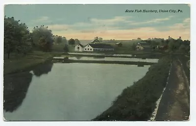 PA ~ State Fish Hatchery UNION CITY Pennsylvania C1908 Erie County Postcard • $5.30