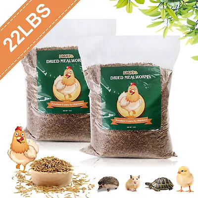 Dried Mealworms For Chickens 22lbs - Chicken Treats Duck Feed Organic Meal Worms • $106.88