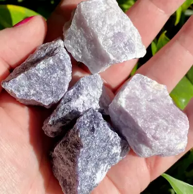 Raw Rough Lepidolite Crystal Gemstone Large Chunks Healing Reiki Mineral Rocks • $6.99