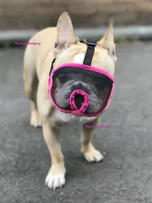 £10.99 • Buy French Bulldog Muzzle Pug Boxer Flat Short Faced Dog Soft Mesh Dog Muzzle 