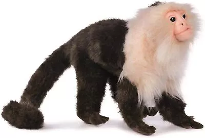 HANSA Real Stuffed Capuchin Monkey No.5851 20cm BH5851 • $54.55