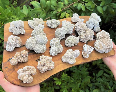 $7.50 • Buy Desert Rose Cluster, 1.75 - 2  (Desert Gypsum Rose Rock, Selenite Love Stone)