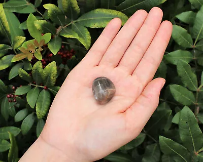 1 Single BLACK Moonstone Tumbled Stone (3/4  - 1 ) Crystal Healing Reiki Tumble • $5.95