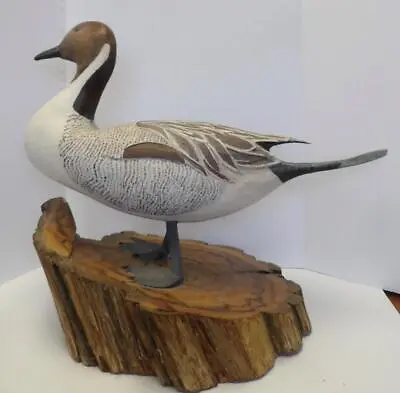 Exceptional Life Size Pin Tail Duck Decoy On Cyprus Wood Plinth Signed Wes Fritz • $809.99