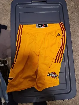 Cleveland Cavaliers D League Adidas Shorts SZ XL2 • $40