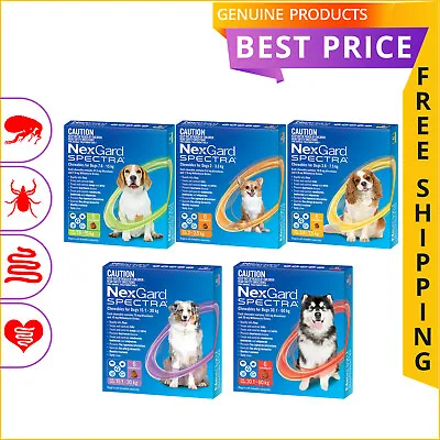 NEXGARD SPECTRA Monthly Chewable Heartworm Flea Worm Treatment For Dogs 6 Doses • $90.94