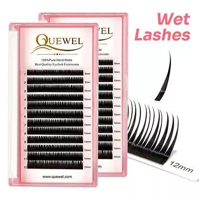 Quewel Wet Eyelashes 3D Faux Mink Fluffy Individual Drenched Premade Russian • $8.79