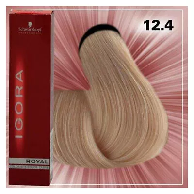 SCHWARZKOPF PROFESSIONAL IGORA ROYAL COLOUR 12-4 SPECIAL BLONDE BEIGE HAIR 60g • $17.95