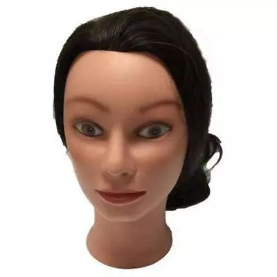 Practice Mannequin Head / Female Version 2 • $21