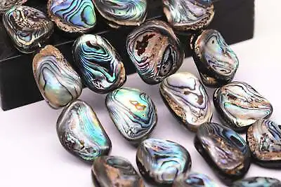 Abalone Irregular Rectangle Shape Beads 15x20mm 18x25mm 20x30mm 15.5  Strand • $19.34