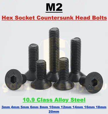 £1.79 • Buy M2 Countersunk Nut Bolt Washer Black Alloy Steel Screws Allen Hex Socket
