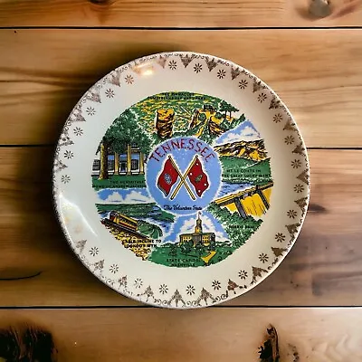 Vintage State Collector's Plate Tennessee  ...The Volunteer State 7” Plate • $5.24