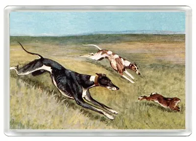 Greyhound Coursing Dog Art Print Novelty Acrylic Fridge Magnet Great Gift • £3.49