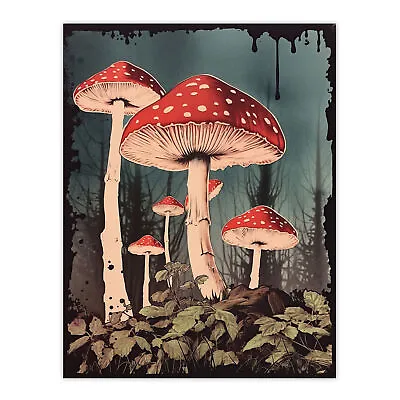 Vintage Fly Agaric Fairy Mushroom Toadstool Earthy Kitchen Wall Art Poster Print • £26.99